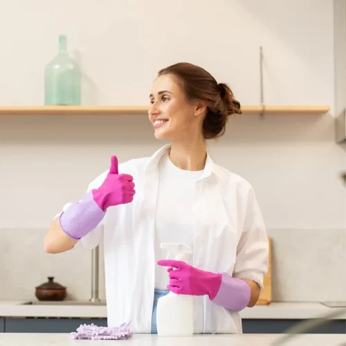 DOMESTIC-DUTIES